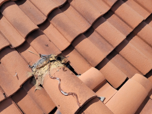 Roof Repair in Pasadena, TX