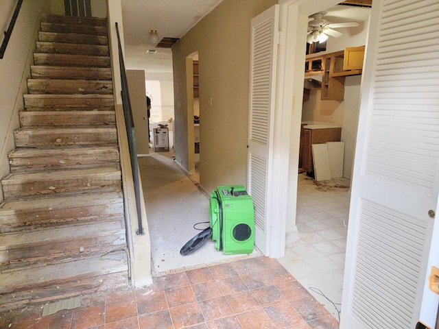 Mold Remediation After Water Leak