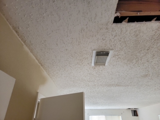 Mold Remediation After Water Leak