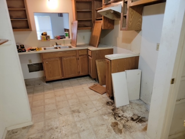 Mold Remediation After Water Leak