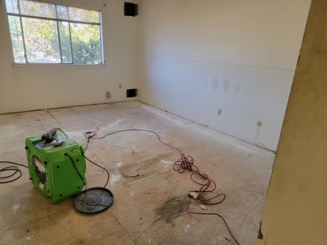 Water Damage Restoration & Mold Removal in Houston, TX