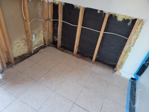 Mold Remediation in Houston, TX