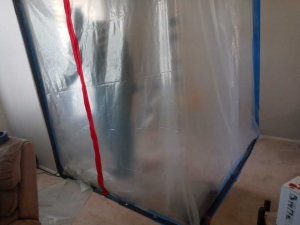 Water Damage Restoration & Mold Removal in Houston, TX