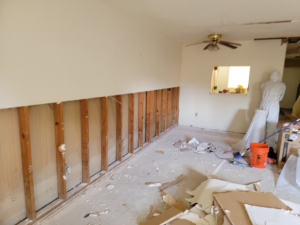 Mold Remediation After Water Leak