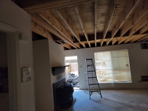 Mold Remediation After Water Leak
