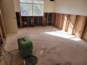 Water Damage Restoration & Mold Removal in Houston, TX