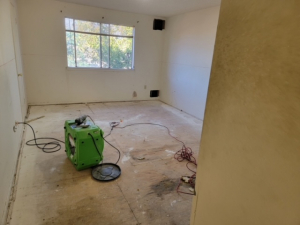 Water Damage Restoration & Mold Removal in Houston, TX