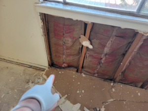 Water Damage Restoration & Mold Removal in Houston, TX