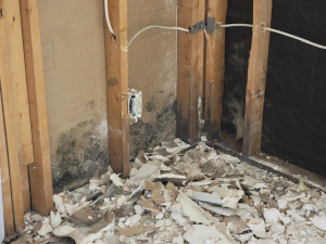 Water Damage Restoration & Mold Removal in Houston, TX