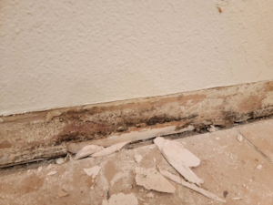 Water Damage Restoration & Mold Removal in Houston, TX